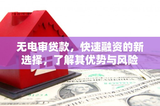 莱山无电审贷款，快速融资的新选择，了解其优势与风险
