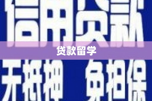 莱山贷款留学