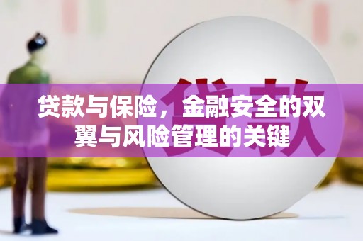 莱山贷款与保险，金融安全的双翼与风险管理的关键