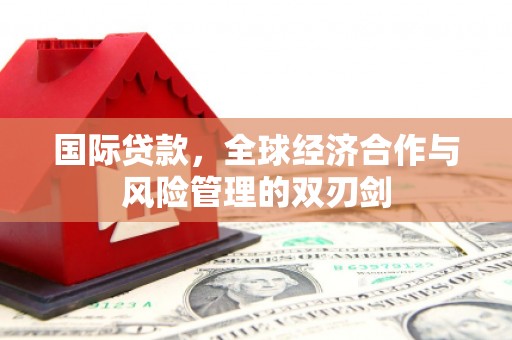 莱山国际贷款，全球经济合作与风险管理的双刃剑