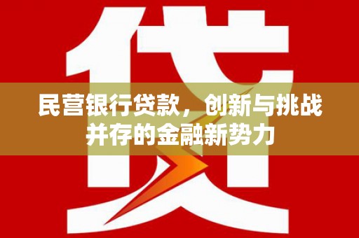 莱山民营银行贷款，创新与挑战并存的金融新势力