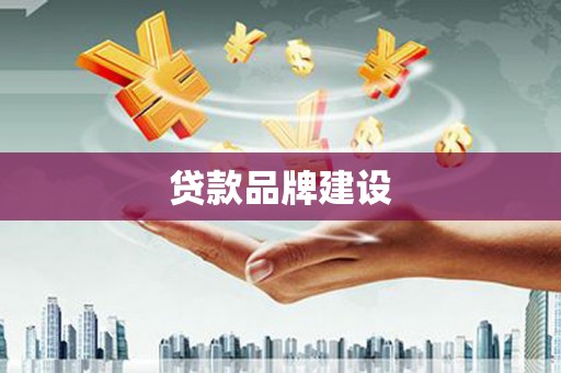 莱山贷款品牌建设