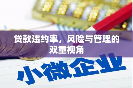 莱山贷款违约率，风险与管理的双重视角