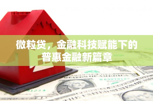 莱山微粒贷，金融科技赋能下的普惠金融新篇章