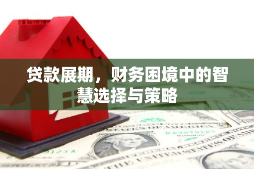 莱山贷款展期，财务困境中的智慧选择与策略