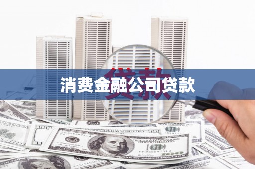 莱山消费金融公司贷款