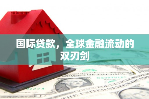莱山国际贷款，全球金融流动的双刃剑