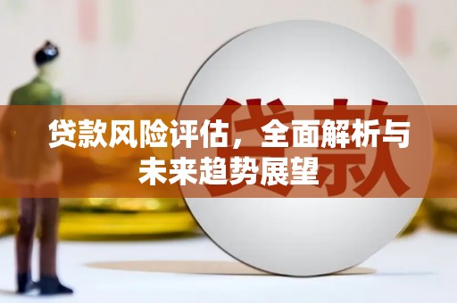 莱山贷款风险评估，全面解析与未来趋势展望
