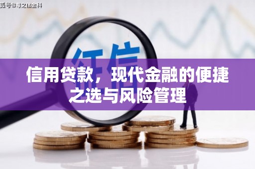 莱山信用贷款，现代金融的便捷之选与风险管理