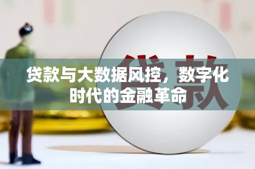 莱山贷款与大数据风控，数字化时代的金融革命