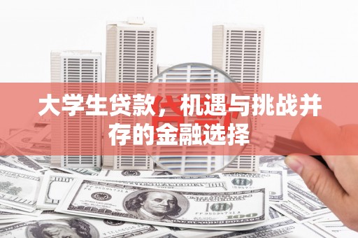 莱山大学生贷款，机遇与挑战并存的金融选择