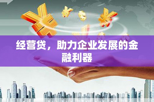 莱山经营贷，助力企业发展的金融利器