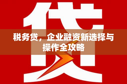 莱山税务贷，企业融资新选择与操作全攻略