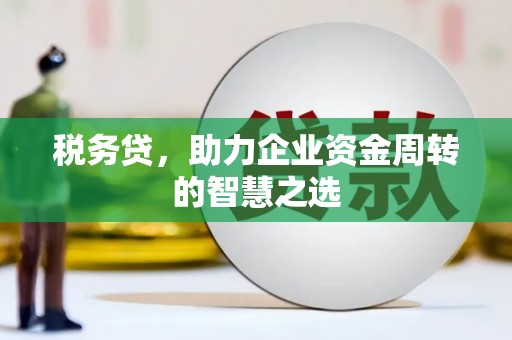 莱山税务贷，助力企业资金周转的智慧之选