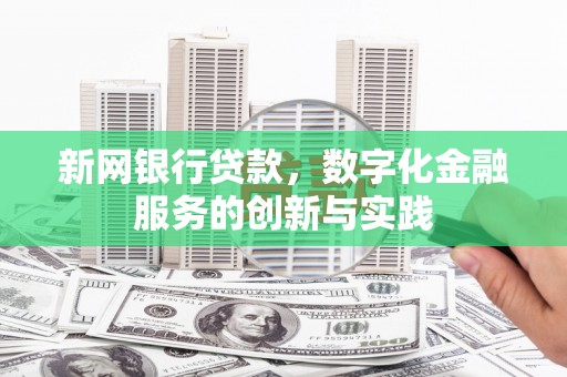 莱山新网银行贷款，数字化金融服务的创新与实践