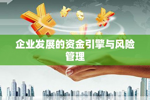 莱山企业发展的资金引擎与风险管理