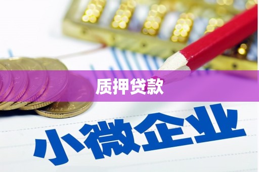 莱山质押贷款