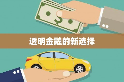 莱山透明金融的新选择