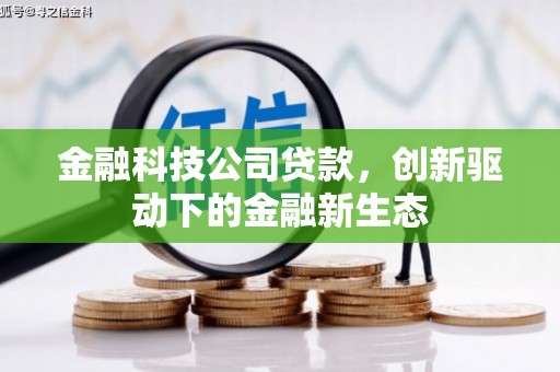 莱山金融科技公司贷款，创新驱动下的金融新生态