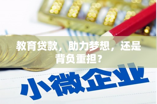 莱山教育贷款，助力梦想，还是背负重担？