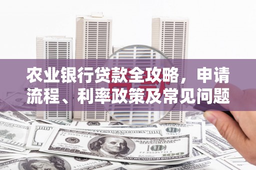 莱山农业银行贷款全攻略，申请流程、利率政策及常见问题解析