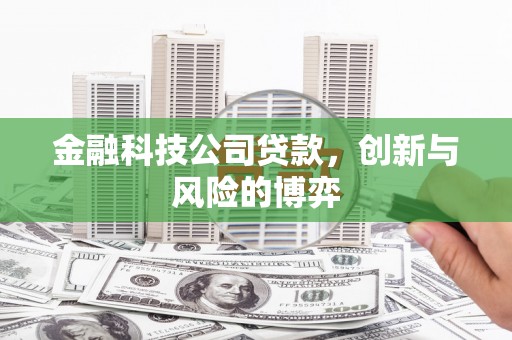 莱山金融科技公司贷款，创新与风险的博弈