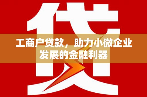 莱山工商户贷款，助力小微企业发展的金融利器