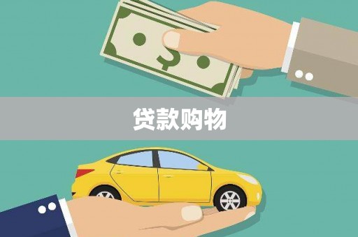莱山贷款购物