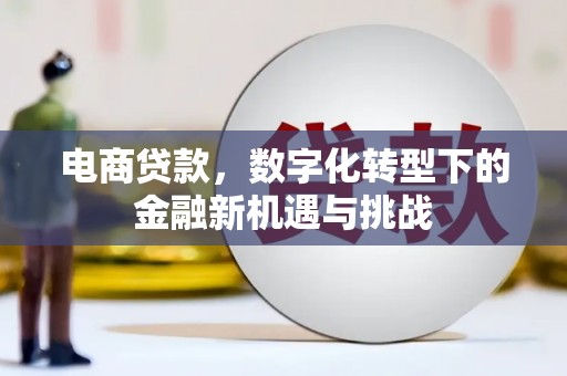 莱山电商贷款，数字化转型下的金融新机遇与挑战