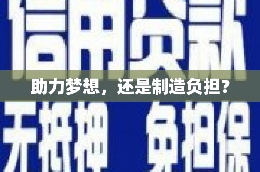 莱山助力梦想，还是制造负担？