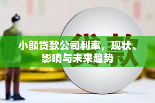 莱山小额贷款公司利率，现状、影响与未来趋势