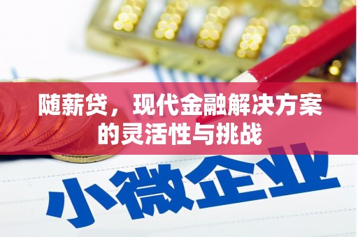 莱山随薪贷，现代金融解决方案的灵活性与挑战