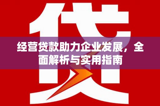 莱山经营贷款助力企业发展，全面解析与实用指南