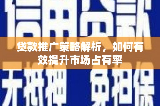 莱山贷款推广策略解析，如何有效提升市场占有率