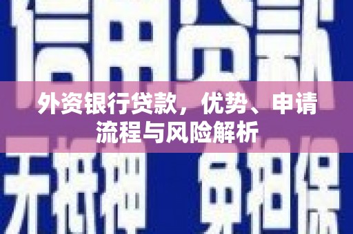 莱山外资银行贷款，优势、申请流程与风险解析