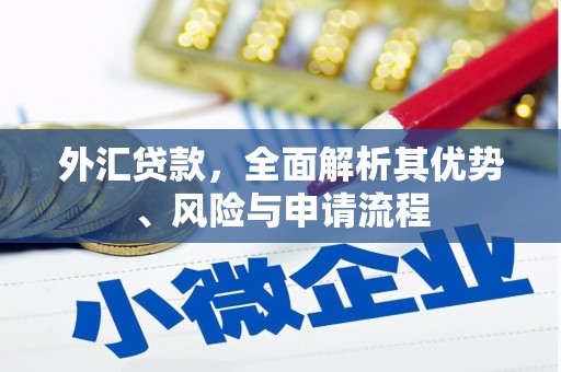 莱山外汇贷款，全面解析其优势、风险与申请流程