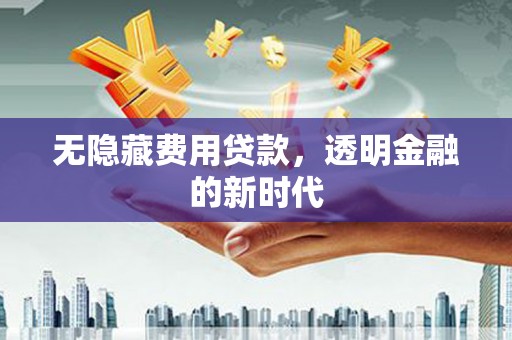 莱山无隐藏费用贷款，透明金融的新时代