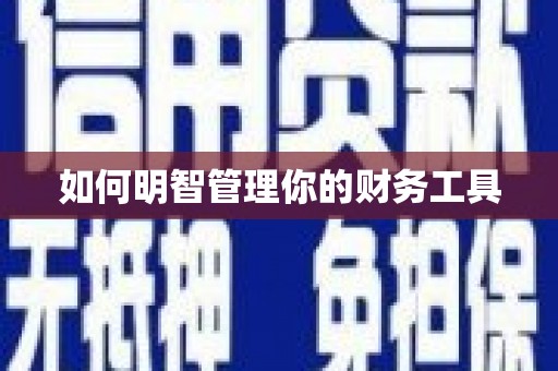 莱山如何明智管理你的财务工具