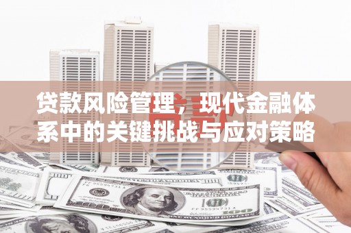 莱山贷款风险管理，现代金融体系中的关键挑战与应对策略