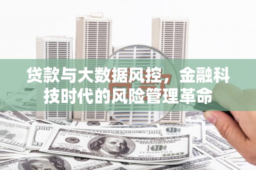 莱山贷款与大数据风控，金融科技时代的风险管理革命