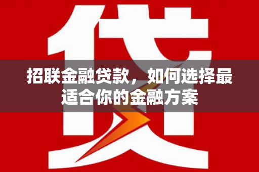莱山招联金融贷款，如何选择最适合你的金融方案