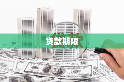 莱山贷款期限