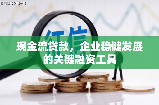 莱山现金流贷款，企业稳健发展的关键融资工具
