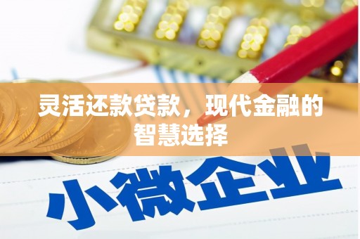 莱山灵活还款贷款，现代金融的智慧选择