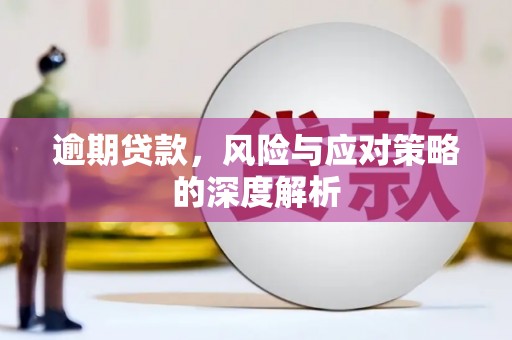 莱山逾期贷款，风险与应对策略的深度解析