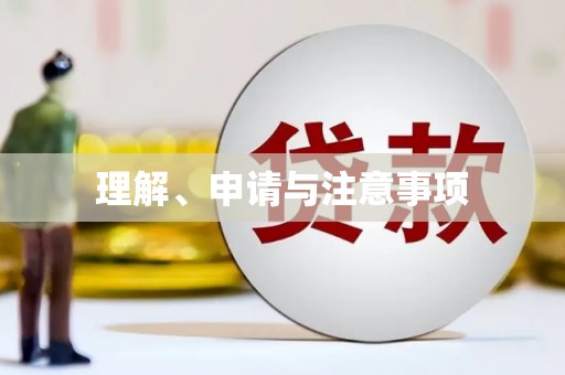 莱山理解、申请与注意事项