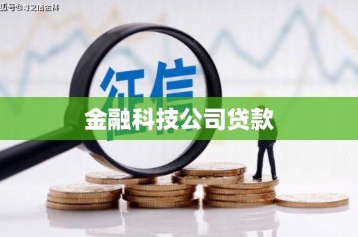 莱山金融科技公司贷款