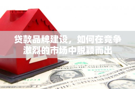 莱山贷款品牌建设，如何在竞争激烈的市场中脱颖而出