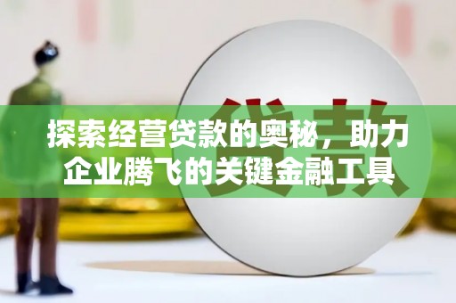 莱山探索经营贷款的奥秘，助力企业腾飞的关键金融工具