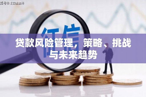 莱山贷款风险管理，策略、挑战与未来趋势